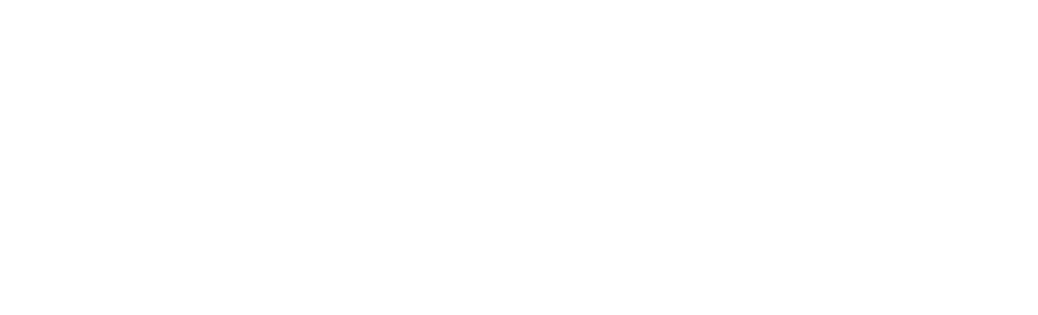 Western Digital logo